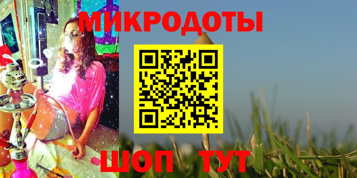 Псилоцибиновые грибы Psilocybe Магадан