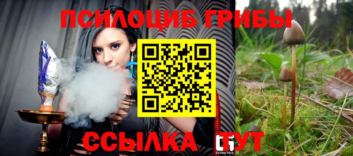 Магадан  Галлюциногенные грибы Magic Shrooms  Вход с VPN 
